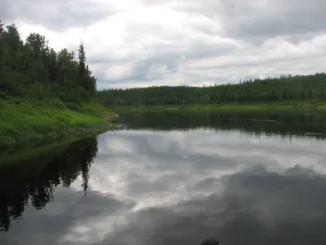 Бахта