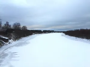 Тулокса