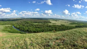 Большой Кинель