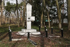 Братская могила борцов революции (1919 г., 1925 г., 1927 г.) (Сима)
