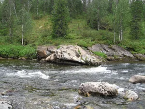 Щекурья