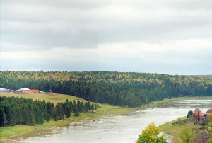 Тура