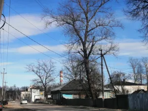 Дом жилой (Кашин)