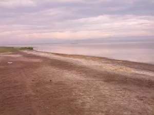 Хадын