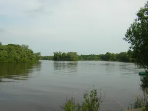Пола