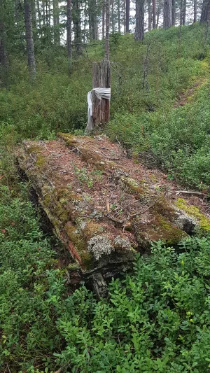 Кладбище (Суднозеро)