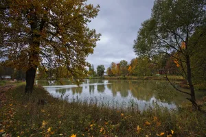 Парк с прудами (Ольгово)