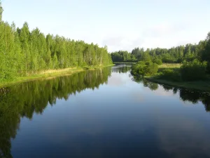 Долгая