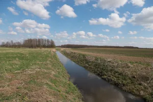 Зольная