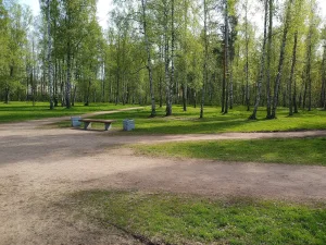 Остатки исторической планировки
