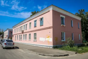 Дом Петровых (Елец)