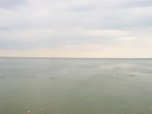 Большое Яровое