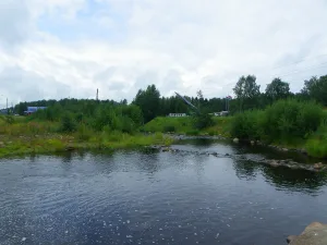 Вилга