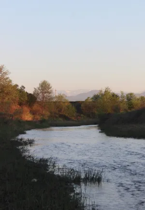Белка