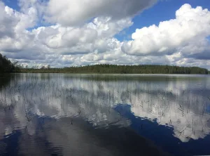 Палват
