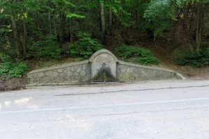 Деспита (источник)