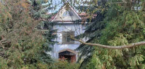 улица Ленина 29