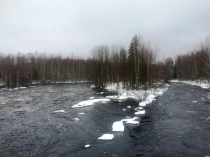 Каратйоки