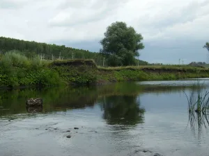 Большой Ик