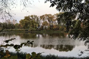 Парк с прудами усадьбы Рогозиных (Черниж)