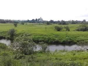 Сара