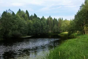 Кременка