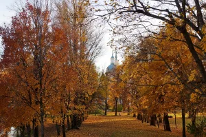 Летний сад (4 га) (Кингисепп)