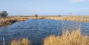 Склюиха