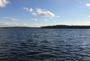 Новинка (озеро)