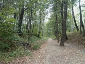 Парк (Калуга)