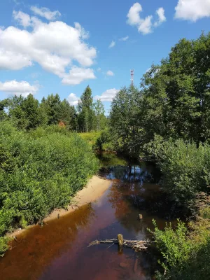 Псковица