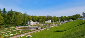 Партерные цветники (Петергоф)