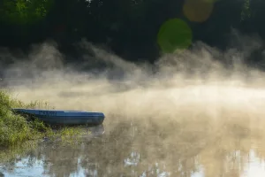 Городно