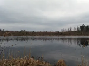 Чапозеро