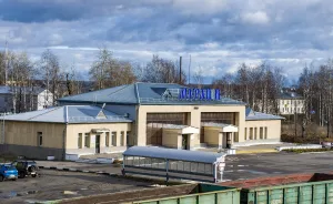 Мураши