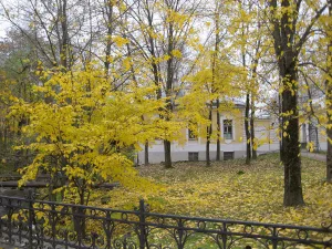 Службы дома лесничего (Ломоносов)