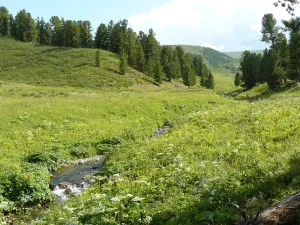 Сугары