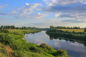 Курганная группа (Шабаны (Носово))