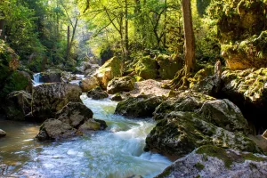 Курджипс