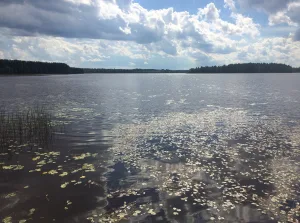 Нёлгомозеро (озеро)