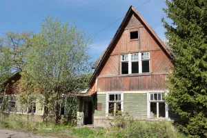 Южный флигель (деревянный) (Ломоносов)