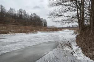 Эдома