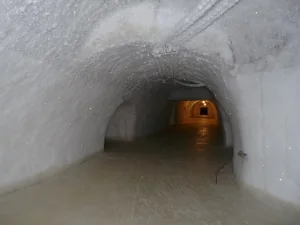 Новопортовский мерзлотник
