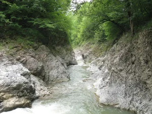Сахрай