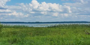 Орша (озеро)