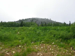 Гора Хариусный Камень