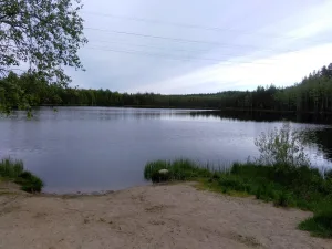 Родное