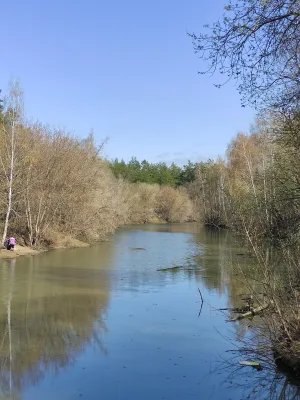 Лесное