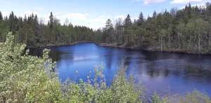 Топорное (озеро, Лоухский район)
