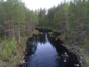 Олонга